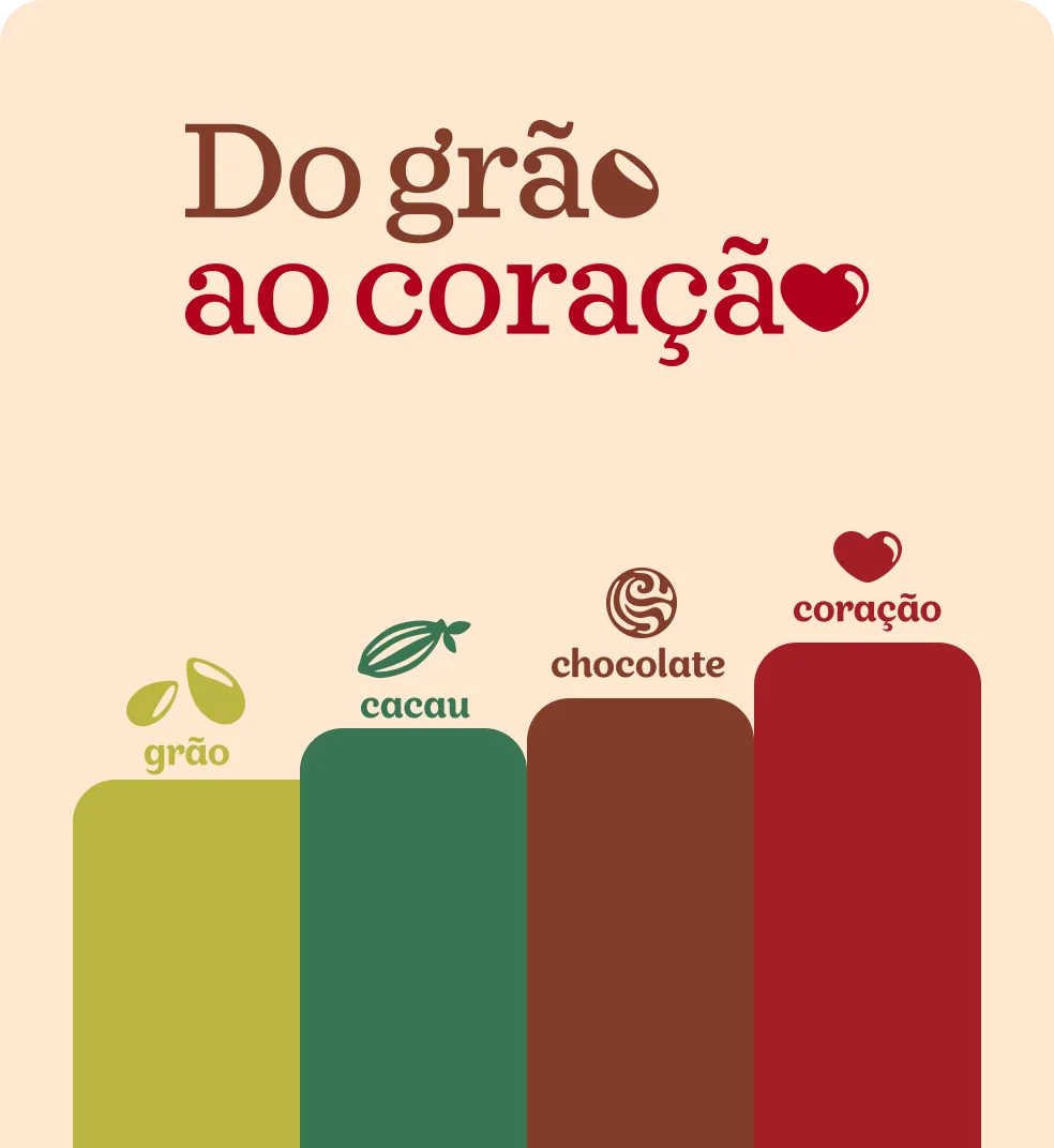Imagem sobre os níveis
